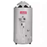 TERMOTANQUE ESKABE ACQUAPIU 4'' 40L HORI