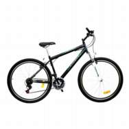 BICI T.T R29 WALHER ACERO   FR.V-BR  21V