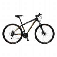 BICI T.T. R29 OXEA RIDDICH-21VEL.FRENO D