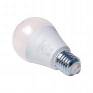 FOCO LED E27 ''CeG'' CONSUMO 15W  LUZ.FR